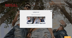 Desktop Screenshot of nesal.com